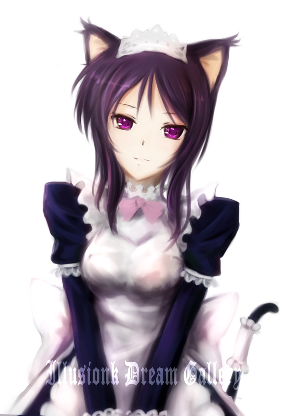 00s, 1girl, animal_ears, cat_ears, cat_tail, dog_ears, eneus, female_focus, illusionk, magician's_academy, maid, purple_eyes, purple_hair, solo, tail