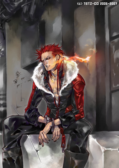 fire, fur, red_hair, sitting, tetz-co