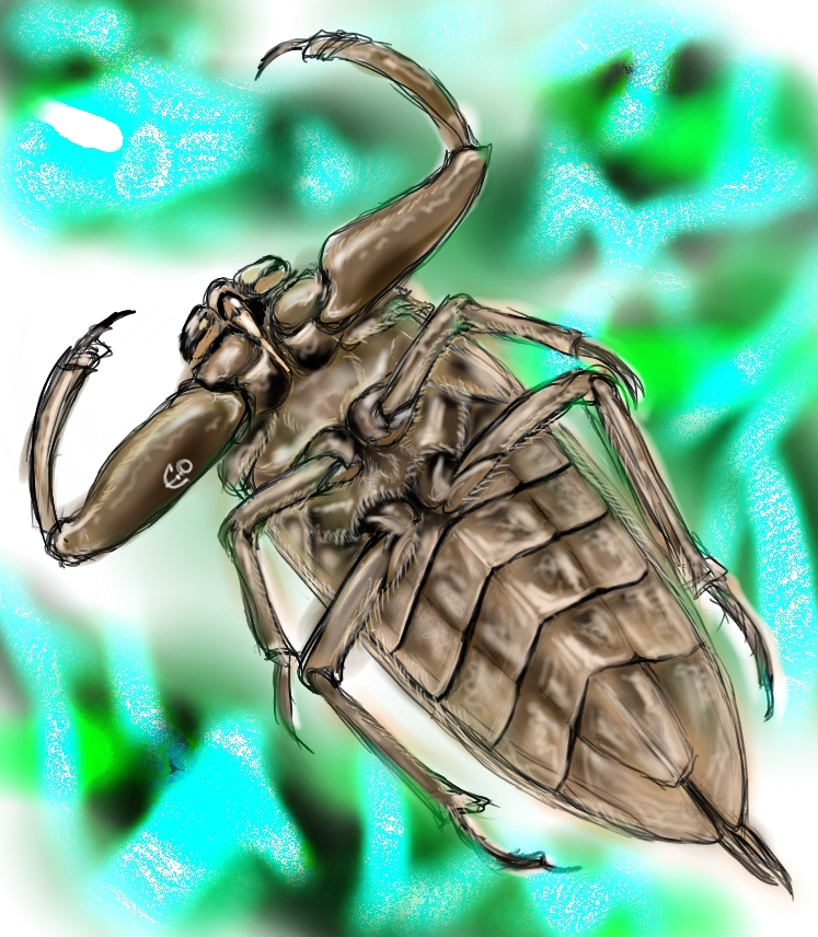 animal, artist_request, bug, original, solo, tagme, water_bug