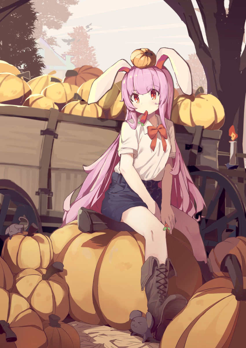 >_<, 1girl, :3, alternate_costume, animal_ears, bird, blue_shorts, blue_sky