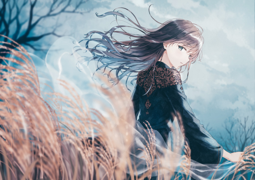 1girl, bare_tree, black_dress, black_hair, blurry, blurry_foreground, cloud, cloudy_sky