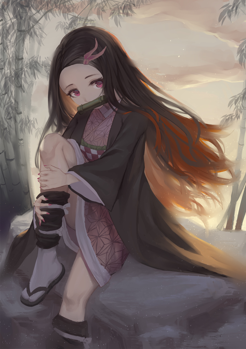 1girl, bamboo, bamboo_forest, black_hair, cloud, content_rating, female_focus, fingernails