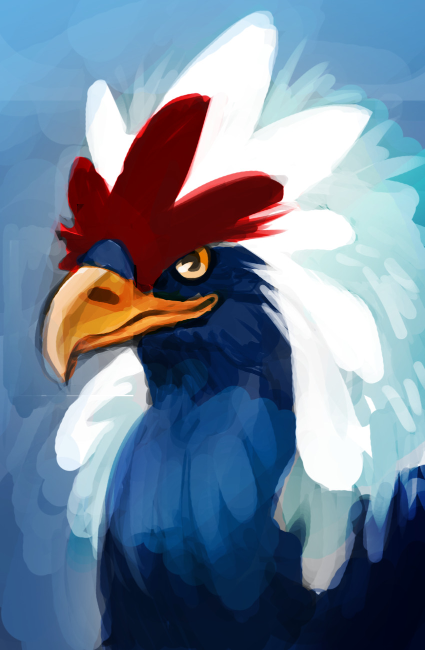 animal_focus, bird, braviary, creature, full_body, gen_5_pokemon, highres, nintendo