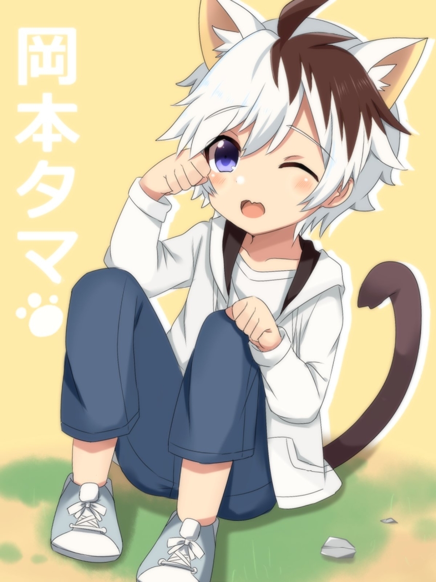 1boy, animal_ears, brown_hair, cat_boy, cat_ears, child, commentary_request, full_body