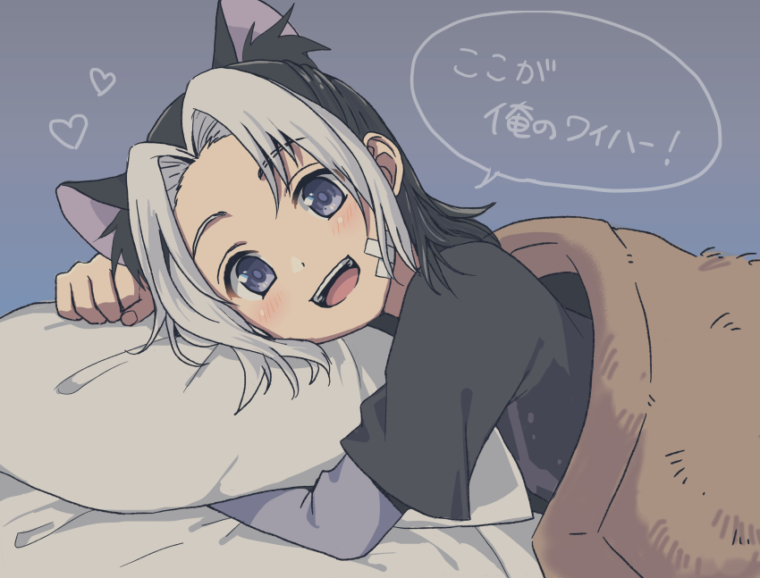1boy, animal_ears, bandages, bandage_on_face, black_hair, blue_eyes, blush, cat_ears