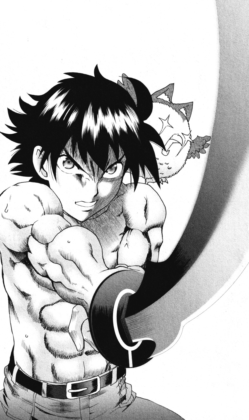 1boy, absurdres, akashi_eight, bird, glaring, highres, kimi_wa_008, matsuena_shun