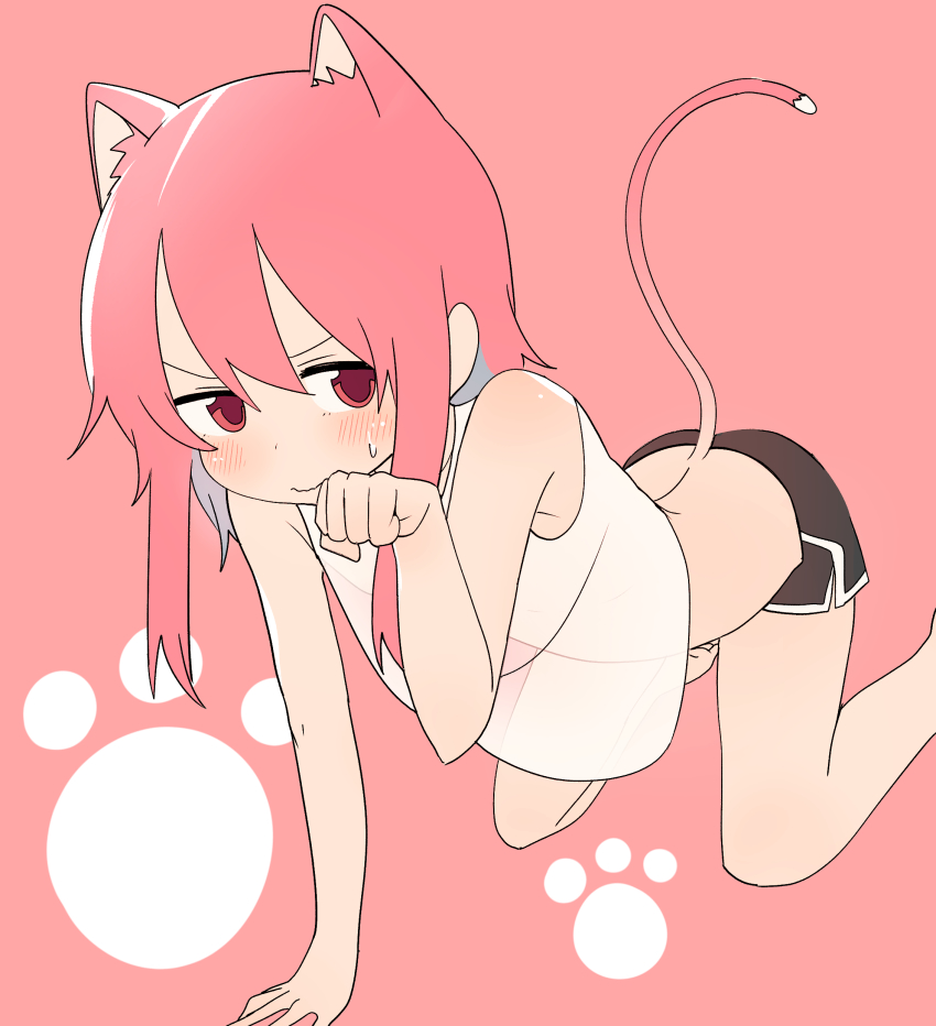 absurdres, animal_ears, blush, bural_chingu, cat_ears, cat_girl, cat_tail, dolphin_shorts