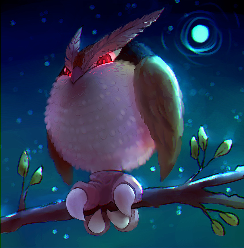 animal_focus, beta_pokemon, bird, booboo_(noctowl), claws, commentary, creature, full_body