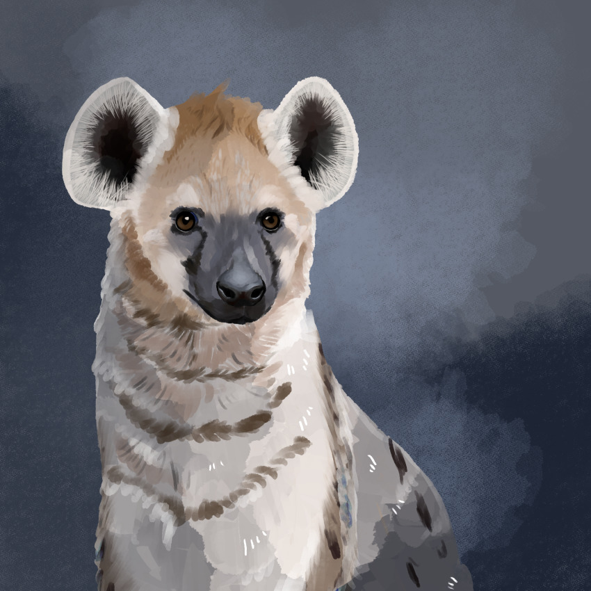 animal, bad_id, bad_pixiv_id, brown_eyes, grey_background, highres, hyena, koro_(funnycollo), original, simple_background, solo, spotted_hyena