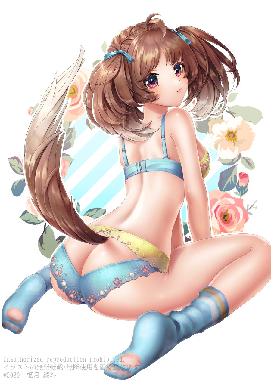 1girl, animal_ears, ass, blue_bra, blue_panties, bra, brown_hair, butt_crack