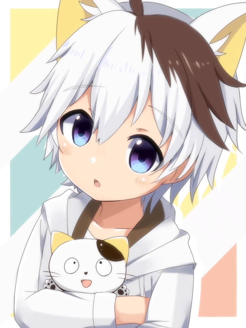 animal_ears, blue_eyes, blush, brown_hair, cat, cat_ears, child, extra_ears