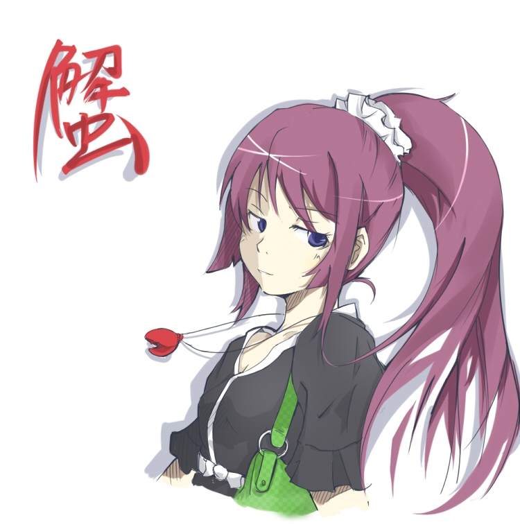 00s, 1girl, bad_id, bad_pixiv_id, bag, bakemonogatari, blue_eyes, female_focus