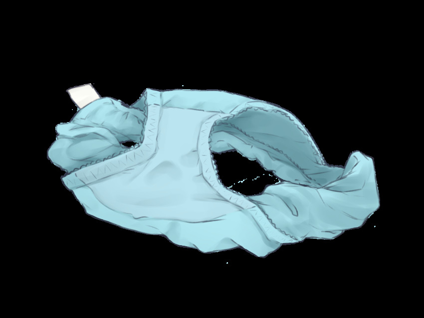 blue_panties, care_label, clothes_focus, commentary, highres, nagami_yuu, no_humans, original, panties, panties_day, panty_tag, still_life, tag, transparent_background, underwear, unworn_panties
