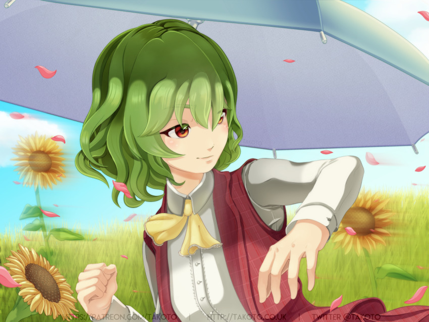 1girl, ascot, day, flower, garden_of_the_sun, green_hair, hair_between_eyes, kazami_yuuka