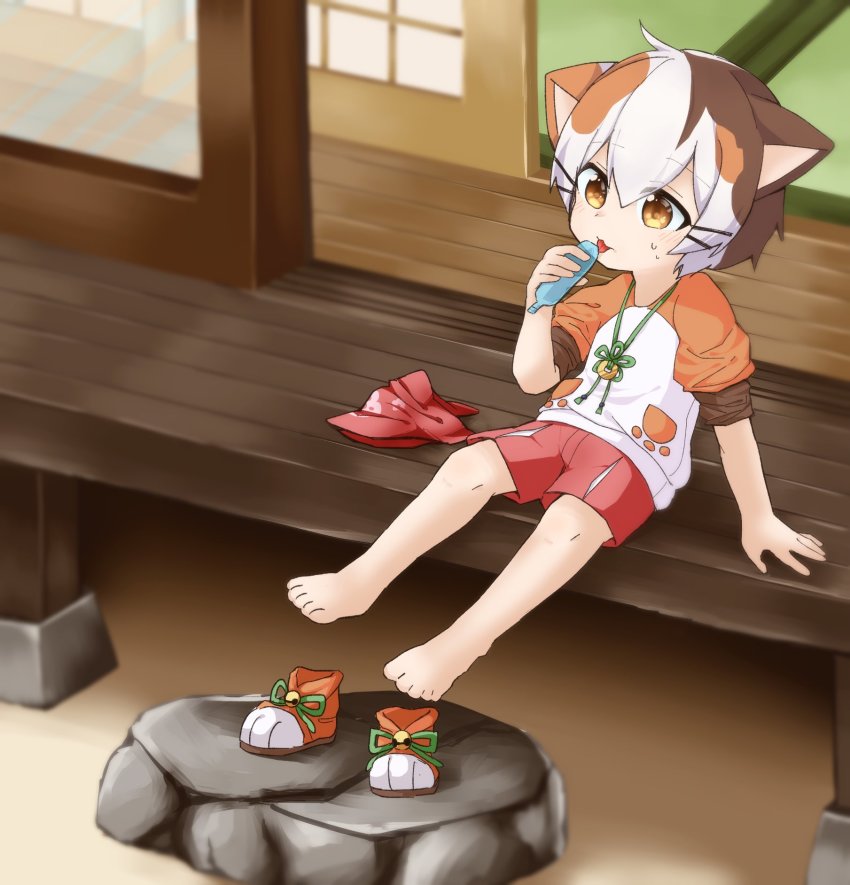 1boy, :3, animal_ears, bandana, barefoot, blurry, blush, brown_eyes