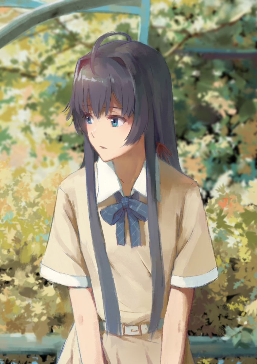 1girl, ahoge, black_hair, blue_eyes, blue_ribbon, blurry, blurry_background, casual