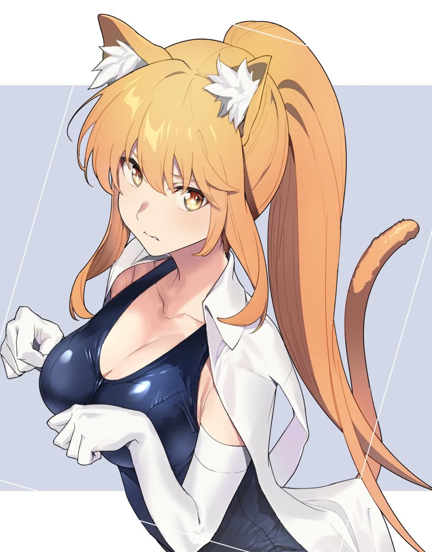 1girl, alternate_hairstyle, animal_ears, blonde_hair, breasts, cat_tail, cleavage, collarbone, elbow_gloves, fox_ears, frown, gloves, highres, jacket, jacket_on_shoulders, large_breasts, long_hair, looking_away, looking_to_the_side, ponytail, school_swimsuit, shokuhou_misaki, sidelocks, solo, swimsuit, swimsuit_under_clothes, tadano_souko, tail, toaru_kagaku_no_railgun, toaru_majutsu_no_index, unbuttoned, unbuttoned_shirt, upper_body, white_gloves, yellow_eyes