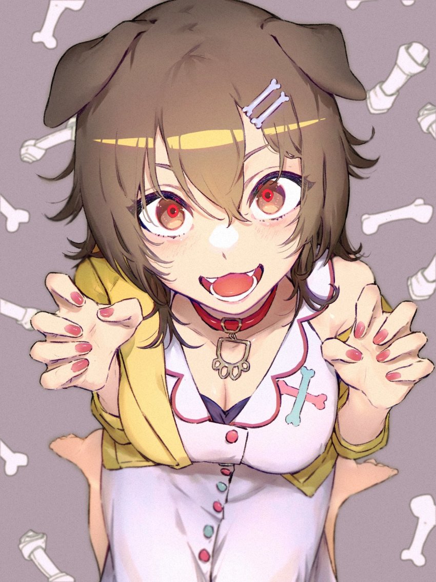1girl, animal_ears, barefoot, blurry, blush, bone_hair_ornament, braid, breasts, brown_eyes, brown_hair, choker, claw_pose, cleavage, commentary, depth_of_field, dog_ears, dress, fangs, from_above, hair_between_eyes, hair_ornament, highres, hololive, inugami_korone, inugami_korone_(1st_costume), jacket, looking_at_viewer, medium_breasts, medium_hair, nail_polish, off_shoulder, open_clothes, open_jacket, open_mouth, patterned_background, pink_nails, purple_background, rabbitioli, red_choker, red_pupils, side_braids, simple_background, sitting, sleeveless, sleeveless_dress, smile, solo, twin_braids, virtual_youtuber, wariza, white_dress, yellow_jacket