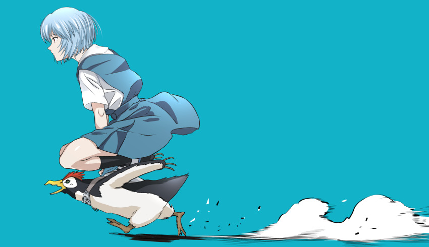 1girl, akegata_tobari, aqua_background, ayanami_rei, bird, black_legwear, blue_background, blue_hair
