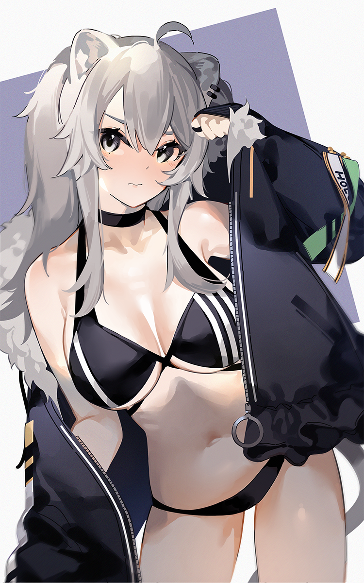 1girl, 3:, ahoge, animal_ears, arm_up, bare_shoulders, bikini, black_bikini, breasts, choker, cleavage, closed_mouth, contrapposto, cowboy_shot, grey_eyes, grey_hair, highres, hololive, jacket, jewelry, large_breasts, lion_ears, long_hair, looking_at_viewer, mania_(fd6060_60), navel, off_shoulder, open_clothes, open_jacket, outside_border, shishiro_botan, sidelocks, simple_background, solo, swimsuit, untranslatable_commentary, tail, virtual_youtuber