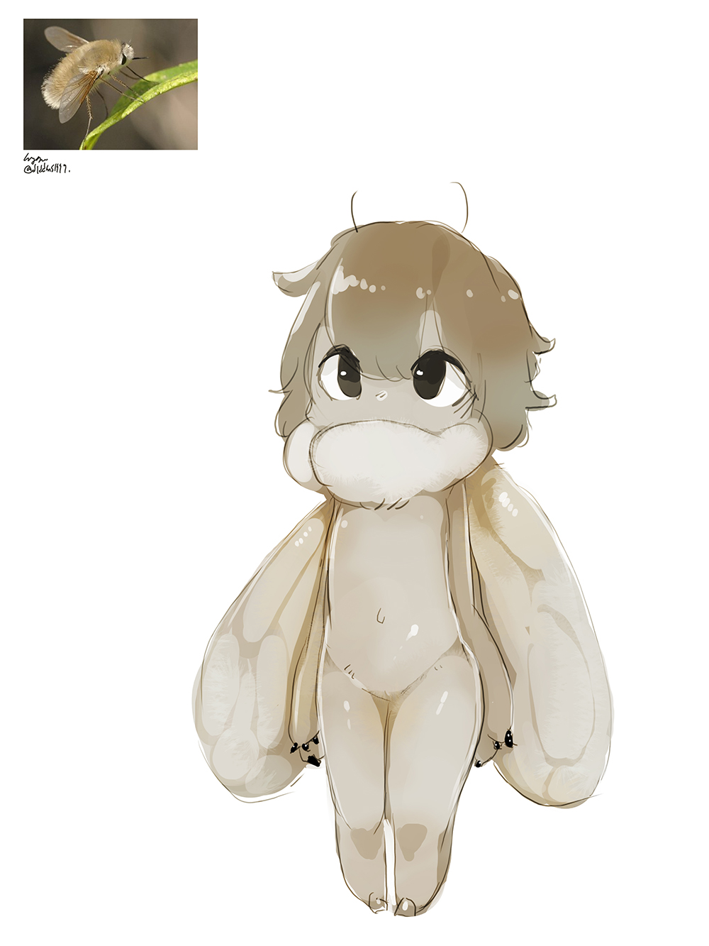 1girl, antennae, arthropod_girl, bad_id, bad_pixiv_id, bee, bee_fly, bee_girl, brown_hair, bug, fur, highres, insect, insect_girl, insect_wings, mane, monster_girl, my700, navel, original, solo, twitter_username, white_background, wings