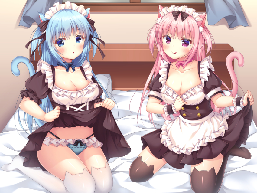 2girls, :o, :q, animal_ear_fluff, animal_ear_legwear, animal_ears, apron, bed, black_dress, black_legwear, blue_eyes, blue_hair, blue_panties, blush, bow, bow_panties, breasts, cat_ear_legwear, cat_ear_thighhighs, cat_ears, cat_girl, cat_tail, cat_thighhighs, cleavage, closed_mouth, clothes_lift, commentary_request, curtains, dress, dress_lift, frilled_apron, frilled_panties, frills, fujikura_ryuune, groin, hair_between_eyes, highleg, indoors, lifting_own_clothes, long_hair, maid, maid_headdress, medium_breasts, multiple_girls, navel, no_shoes, on_bed, original, panties, parted_lips, pink_hair, pleated_dress, puffy_short_sleeves, puffy_sleeves, purple_eyes, short_sleeves, smile, tail, tail_raised, tongue, tongue_out, two_side_up, underwear, very_long_hair, white_apron, white_legwear, window, wrist_cuffs
