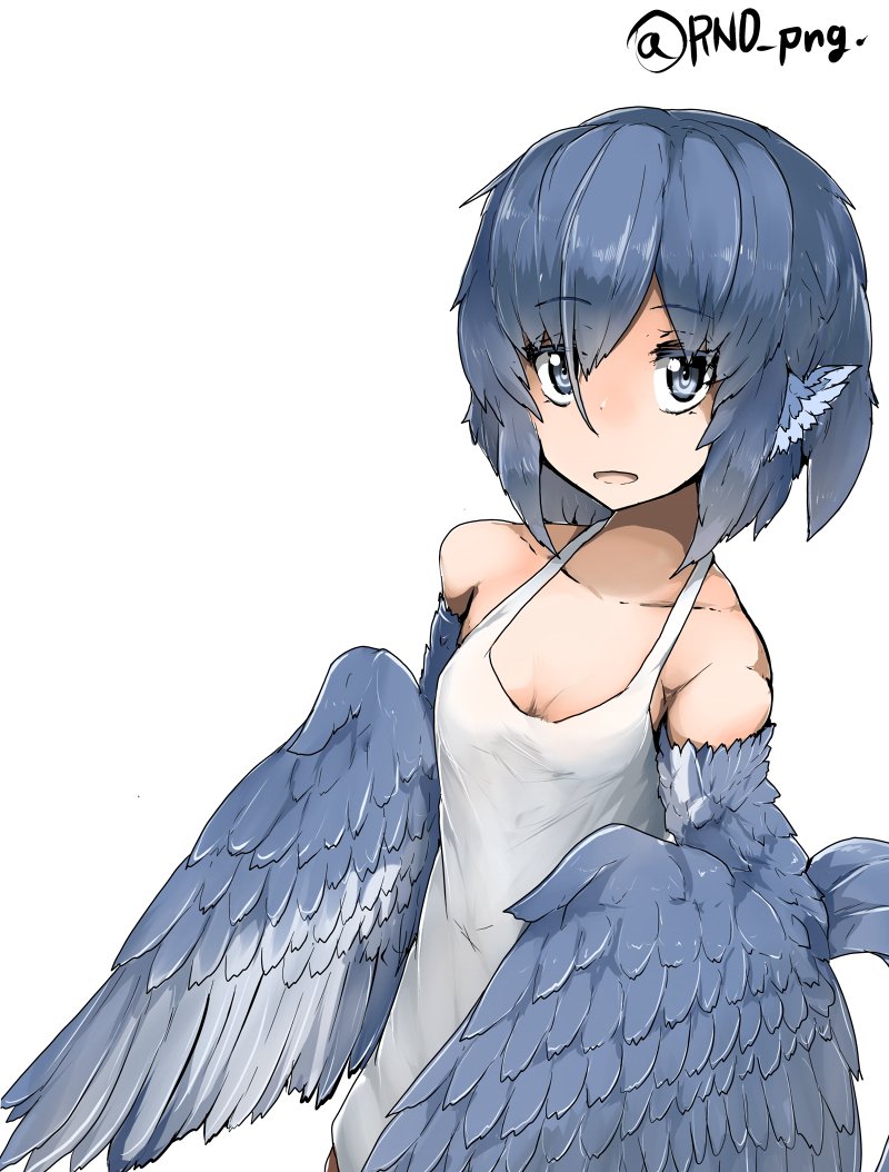 1girl, animal_ears, bare_shoulders, bird_ears, bird_wings, blue_feathers, blue_hair, blue_wings