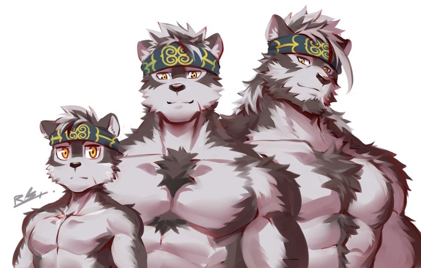 1boy, abs, age_progression, animal_ears, bara, beard, body_hair, chest_hair, child, facial_hair, furry, furry_male, grey_fur, grey_hair, headband, horkeu_kamui, large_pectorals, male_focus, muscular, no_nipples, nude, pectorals, rabbity_art, short_hair, simple_background, tokyo_houkago_summoners, two-tone_fur, white_background, white_fur, wolf_boy, wolf_ears, yellow_eyes