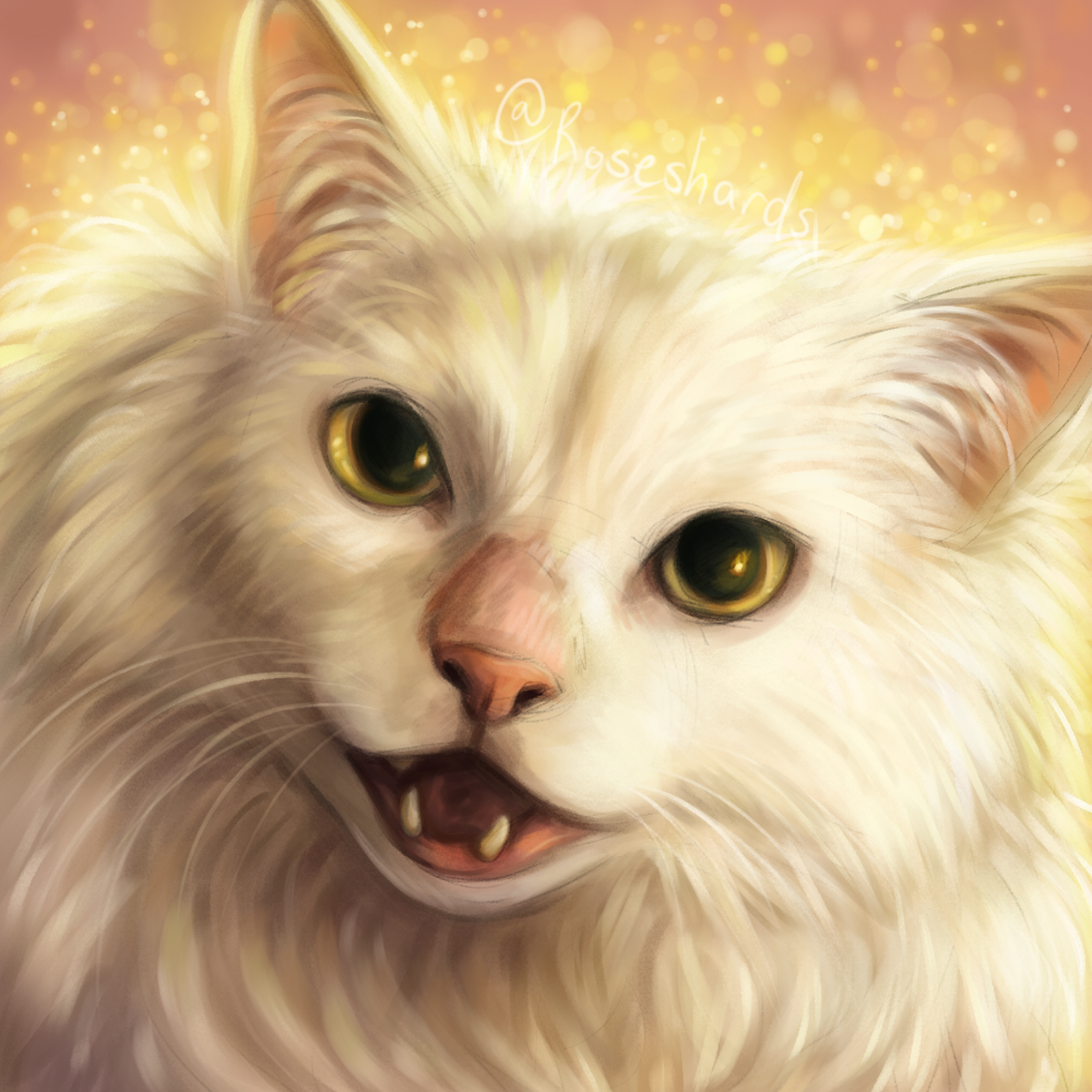 1boy, animal_ears, animal_focus, animal_nose, artist_name, blurry, cat, commentary