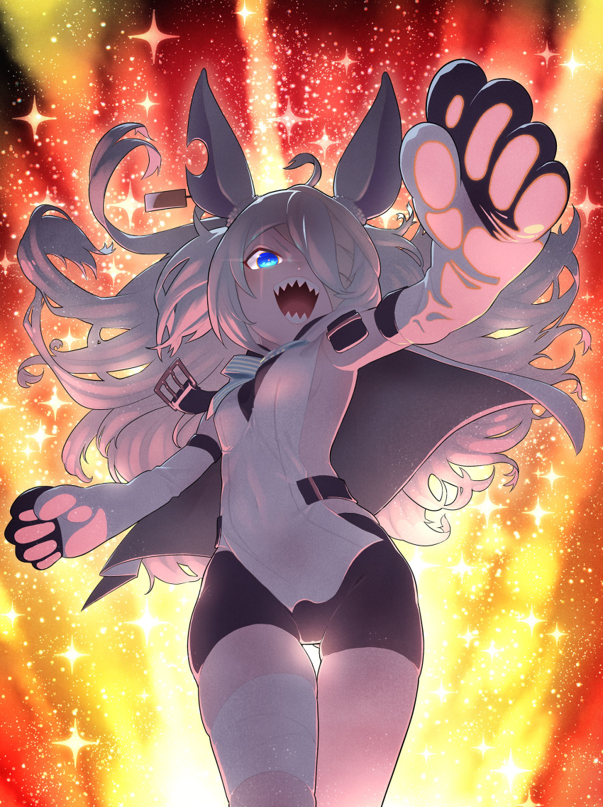 1girl, absurdres, ahoge, animal_ears, arm_up, armpits, bandaged_leg, bandages, bike_shorts, breasts, cape, commentary_request, doll, doll_joints, ear_tag, elbow_gloves, gloves, highres, joints, kanashimiojisan, little_witch_nobeta, long_hair, monica_(little_witch_nobeta), open_mouth, rabbit_ears, sharp_teeth, short_shorts, shorts, small_breasts, solo, tabard, teeth, thigh_gap, thighs, two_side_up, white_cape, white_hair, white_tabard, wind, wind_lift