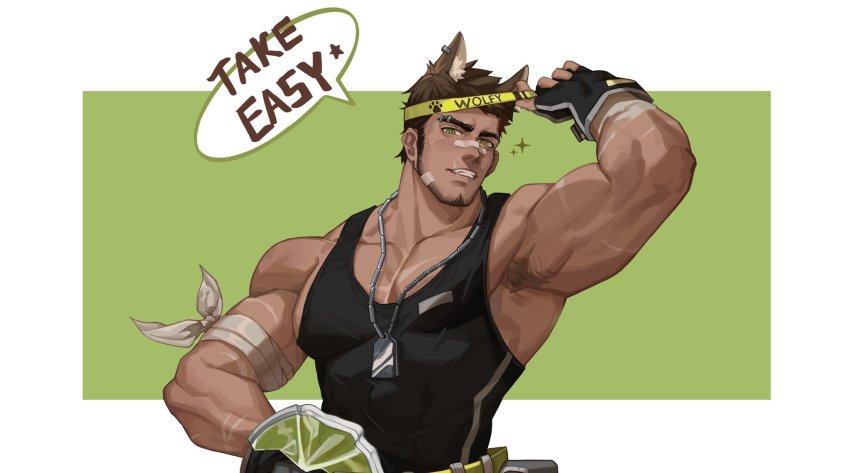 1boy, animal_ears, armpit_hair, armpits, bandaid, bandaid_on_face, bandaid_on_nose, bara