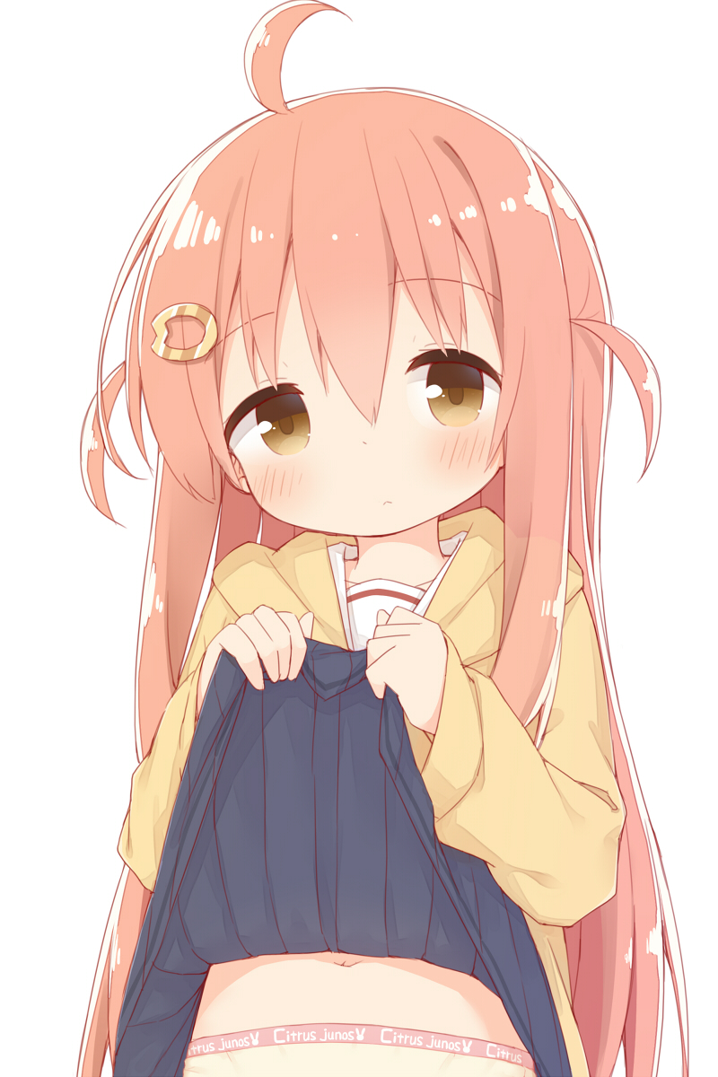 1girl, ahoge, black_skirt, blush, brown_eyes, brown_hair, brown_jacket, closed_mouth