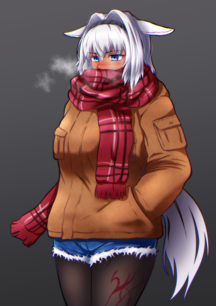 1girl, absurdres, animal_ears, blue_eyes, caenis_(fate), coat, cold, dark-skinned_female