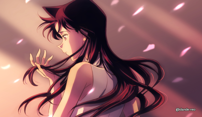 1girl, bare_shoulders, blue_eyes, blurry, blurry_background, brown_hair, closed_mouth, commentary_request, dande-reo, dress, falling_petals, from_behind, hand_in_own_hair, hand_up, long_hair, looking_down, looking_to_the_side, meitantei_conan, mouri_ran, petals, sleeveless, sleeveless_dress, solo, turtleneck, turtleneck_dress, twitter_username, upper_body, white_dress, wind