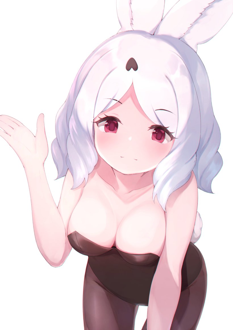 1girl, animal_ears, arctic_hare_(kemono_friends), bare_arms, bare_shoulders, black_leotard, black_pantyhose, breasts, cleavage, collarbone, commentary, fake_animal_ears, hand_up, kemono_friends, large_breasts, leaning_forward, leotard, light_smile, looking_at_viewer, medium_hair, note_(suzu_note000), pantyhose, playboy_bunny, rabbit_ears, rabbit_girl, rabbit_tail, red_eyes, simple_background, solo, split_mouth, tail, white_background, white_hair