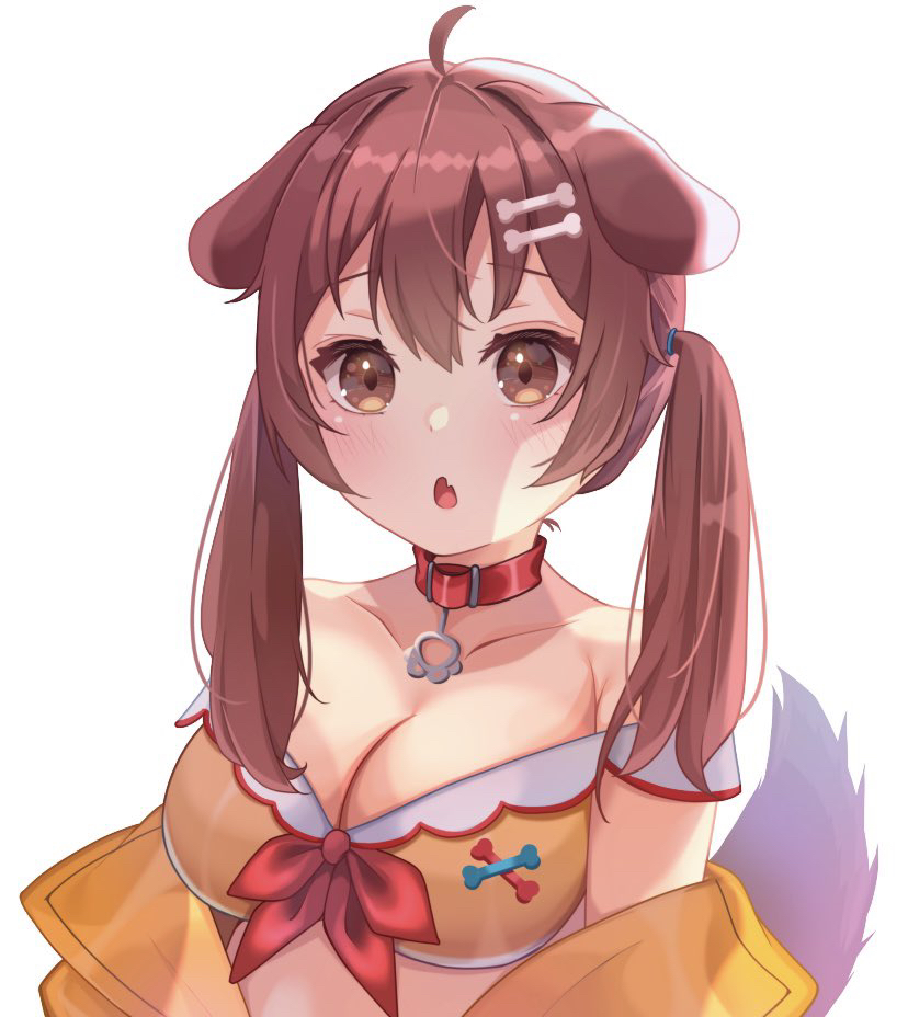 1girl, adapted_costume, ahoge, alternate_hairstyle, animal_ears, bone_hair_ornament, breasts, brown_eyes, brown_hair, cleavage, collar, collarbone, commentary_request, hair_ornament, hololive, inugami_korone, inugami_korone_(1st_costume), large_breasts, simple_background, tail, temari_maco, tsurime, twintails, virtual_youtuber, white_background