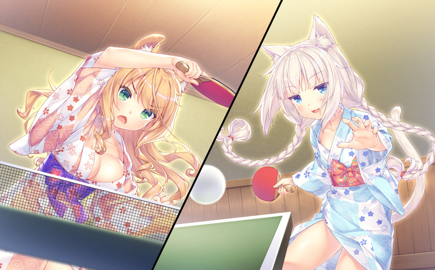 2girls, animal_ear_fluff, animal_ears, ball, blue_eyes, blue_yukata, braid, breasts, cat_ears, cat_girl, cat_tail, game_cg, green_eyes, highres, indoors, japanese_clothes, kimono, long_hair, maple_(nekopara), medium_breasts, multiple_girls, nekopara, orange_hair, orange_yukata, paddle, sayori_(neko_works), slit_pupils, table_tennis, table_tennis_ball, table_tennis_paddle, tail, thighs, twin_braids, vanilla_(nekopara), white_hair, yukata