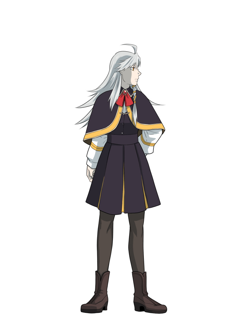 1girl, ahoge, black_capelet, black_dress, braid, capelet, dress, fate/grand_order