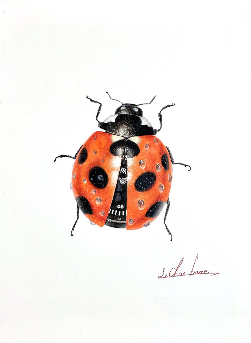 abe_yuichiro, animal_focus, bug, clock, colored_pencil_(medium), highres, ladybug, maven