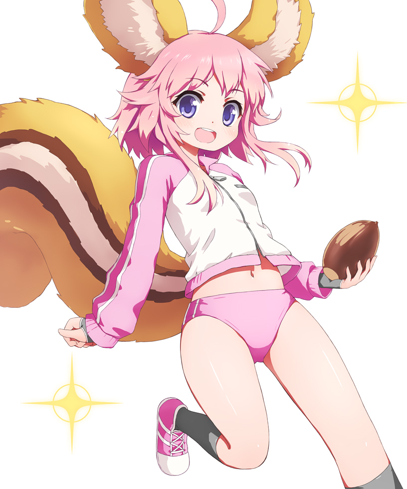 1girl, acorn, ahoge, animal_ear_fluff, animal_ears, arpiel, buruma, character_request, fingerless_gloves, gloves, grey_gloves, grey_socks, gym_uniform, haniwa_(near), holding, jacket, kneehighs, leg_up, legs, multicolored_jacket, navel, open_mouth, pink_buruma, pink_hair, pink_shoes, pink_sleeves, purple_eyes, running, ruu_(arpiel), shoes, short_hair, smile, socks, solo, squirrel_ears, squirrel_tail, tail, thighs, track_jacket, two-tone_jacket, very_long_tail, white_jacket
