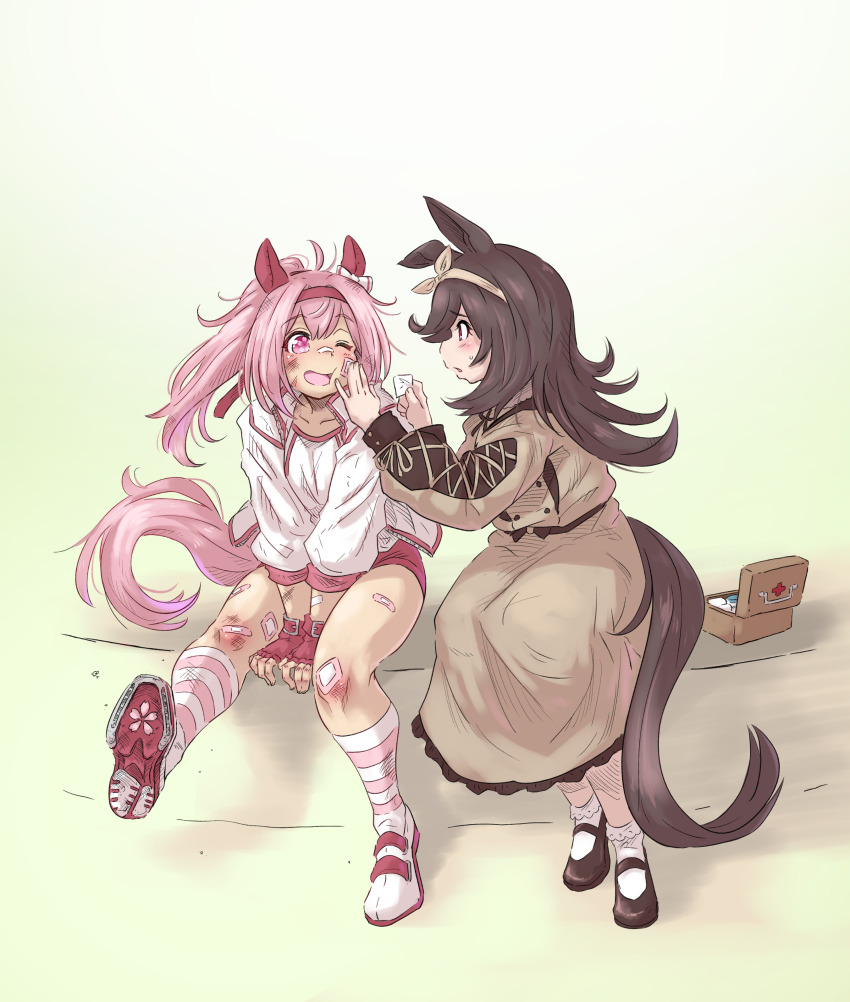 2girls, absurdres, animal_ears, bandaid, bandaid_on_face, bandaid_on_leg, bandaid_on_nose, black_shoes