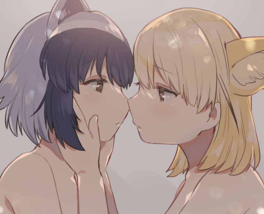 2girls, animal_ear_fluff, animal_ears, black_hair, blonde_hair, brown_eyes, commentary_request, common_raccoon_(kemono_friends)