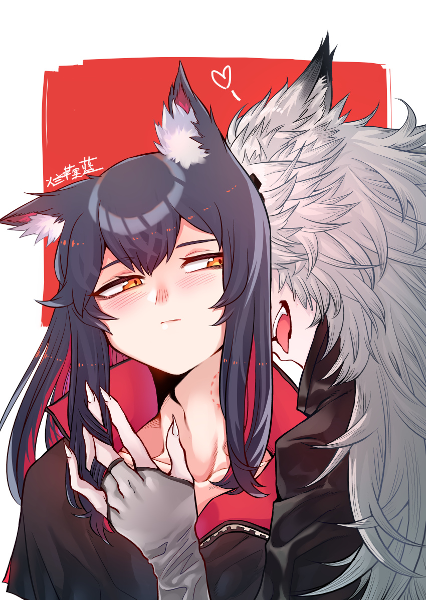2girls, absurdres, animal_ear_fluff, animal_ears, arknights, bite_mark, biting, black_hair, black_jacket, collarbone, fangs, fingerless_gloves, fingernails, gloves, hair_ornament, hand_in_another's_hair, heart, high_collar, highres, jacket, lan_pingguo_lan, lappland_(arknights), light_blush, long_hair, messy_hair, multicolored_hair, multiple_girls, orange_eyes, red_background, sharp_fingernails, sidelocks, signature, texas_(arknights), two-tone_background, two-tone_hair, white_background, white_hair, wolf_ears, yuri