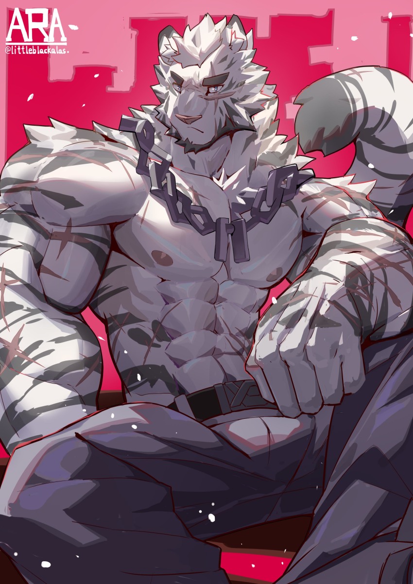 1boy, abs, absurdres, animal_ears, arasukanya_(littleblackalas), arknights, bara, bulge