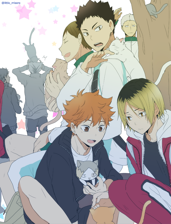 6+boys, akaashi_keiji, animal, animalization, aone_takanobu, bokuto_koutarou, cat, futakuchi_kenji