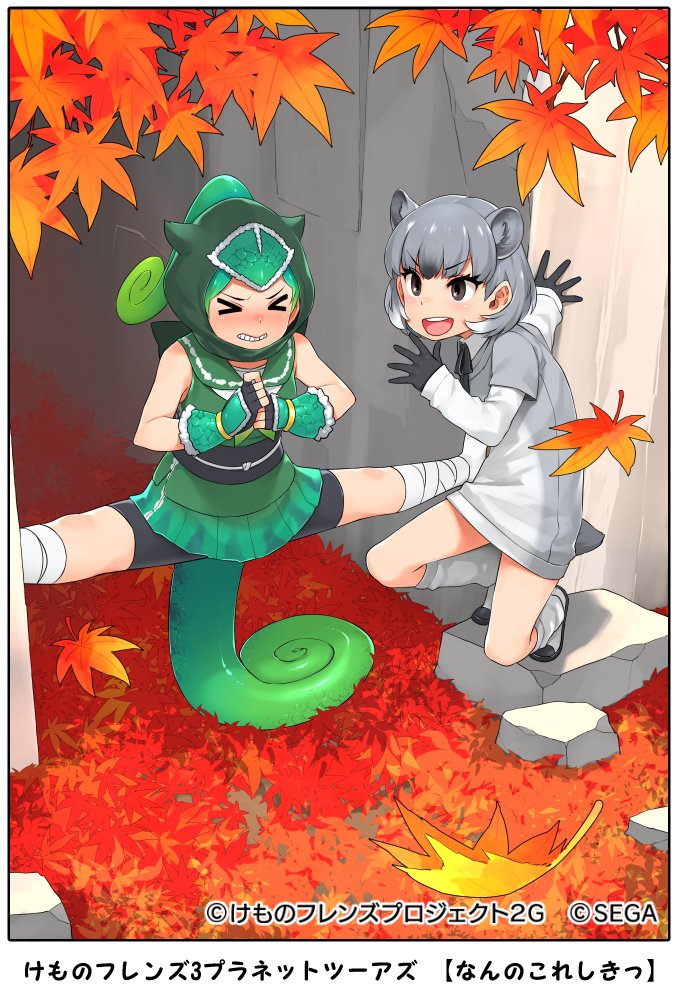 >_<, 2girls, animal_ears, autumn_leaves, bandaged_leg, bandages, bike_shorts, black_eyes