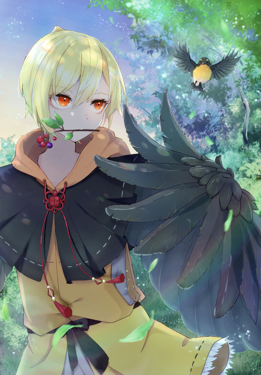 1girl, absurdres, animal, berry, bird, black_feathers, black_wings, blonde_hair, bullock's_oriole, falling_leaves, feathered_wings, feathers, hair_between_eyes, harpy, highres, hood, hood_down, knot, leaf, monster_girl, mouth_hold, napote, orange_eyes, original, outdoors, shirt, short_hair, sky, solo, stalk_in_mouth, tree, twig, winged_arms, wings, yellow_shirt