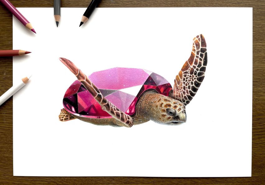 abe_yuichiro, animal_focus, art_tools_in_frame, colored_pencil_(medium), crystal, gem, highres, no_humans, original, photo_(medium), red_gem, simple_background, traditional_media, turtle, white_background