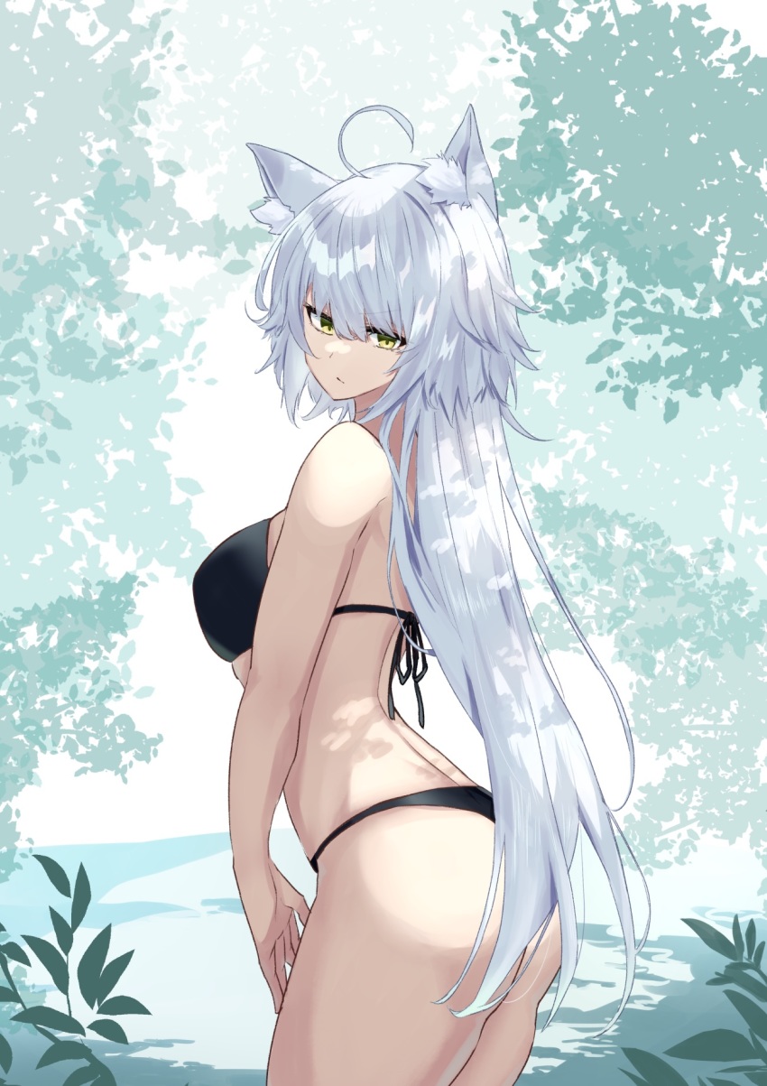 1girl, ahoge, alternate_costume, animal_ear_fluff, animal_ears, bikini, black_bikini, breasts