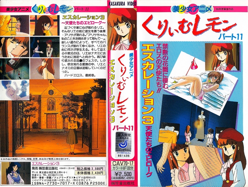 beret, blue_eyes, brown_hair, cream_lemon, escalation, hat, komatsuzaki_rie, kurimoto_arisa